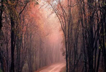 【集锦】骑士122-133活塞 米切尔末节22分不敌活塞7人得分上双.