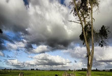 米体：道路利用休赛期加速恢复，目标是在对阵热那亚时回归.