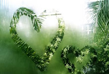 运动一起赢姑妈篮球赛全民健身.