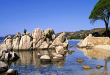 欧博ABG：外媒评选的巴西国家队传奇阵容：.